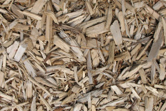 biomass boilers Tapton